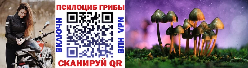 Псилоцибиновые грибы MAGIC MUSHROOMS  где купить наркотик  Среднеуральск 